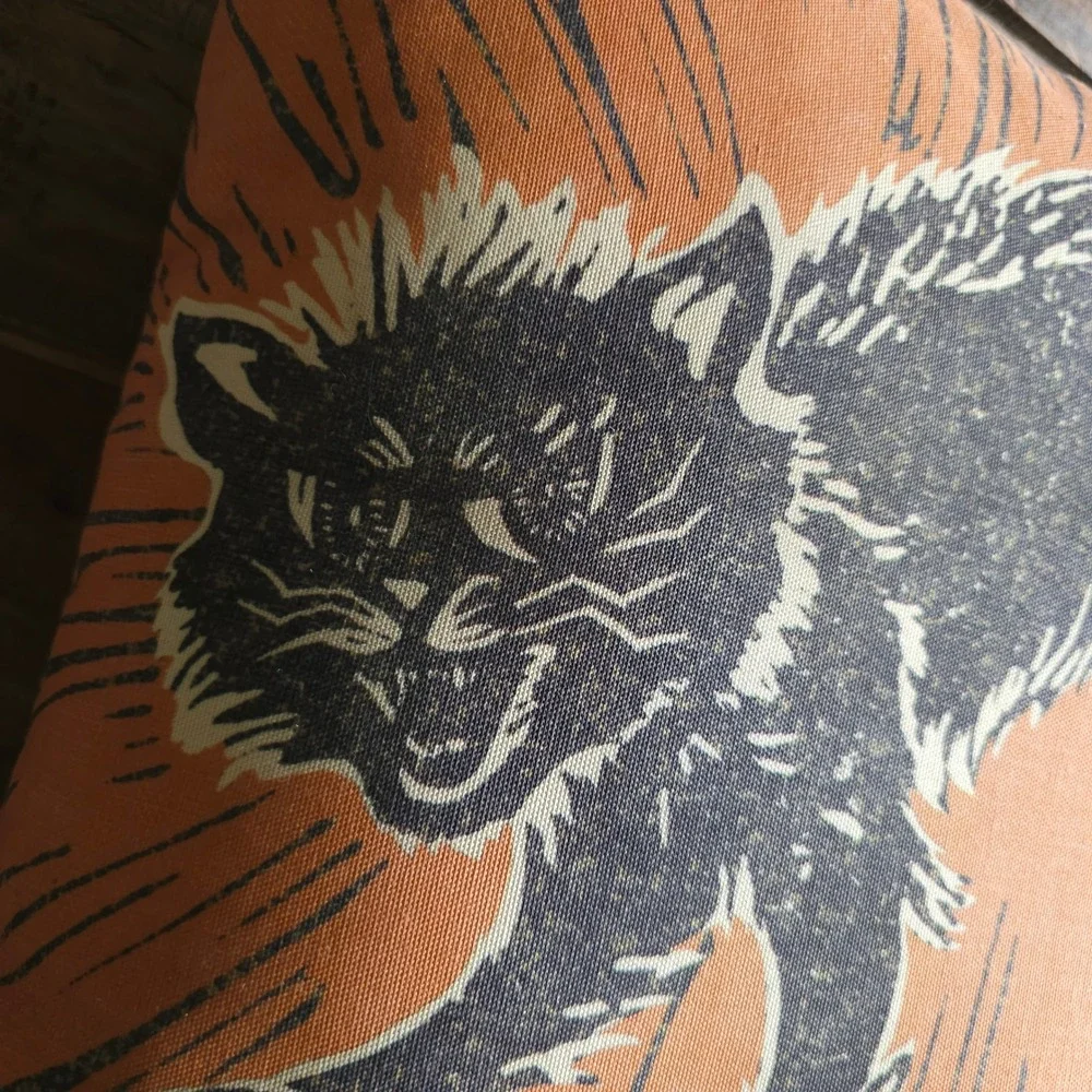 Pottery Barn Halloween Scaredy Black Cat Throw Pillow Orange Print 20